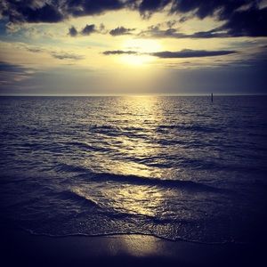 Meet your Posher, Halie